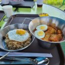 레인바우 이미지