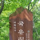 곰배령 야생화 소담한 천상의화원 곰배령예약 점봉산 산행후기
