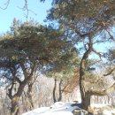 토요일(특별) 이미지