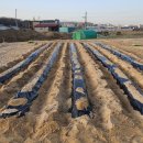 광성농장 이미지