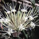 연월농장 이미지