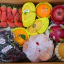 화신태권도 이미지