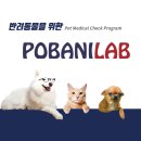 팝애니랩 이미지