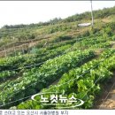 안영찬농장 노컷뉴스