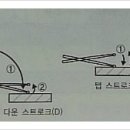 벨칸토음악학원 - 고양시 덕양구 행신로143번길 28-34 | 벨칸토음악학원