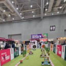 마이멍 | 2024 마이펫페어 광교 토요일 후기