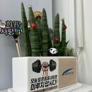 바디끄 PT 이미지