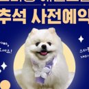 (주)스타몽 이미지