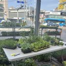 한농종묘농약사 이미지