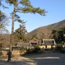 2008/04/14(월) - 경주 안강 권역(옥산서원) 이미지