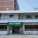 활천로 | 김해 부원동 맛집 돌판 파스타 제대로 하는 어반파머스