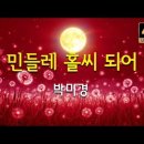 박미경 (Park Mi-kyung) - 민들레 홀씨 되어 (가사) 【4K】 이미지