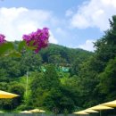 토리숲 주차장 이미지