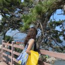 등대김밥 이미지