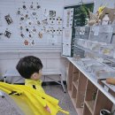 베이글포레스트외도점 네이버블로그