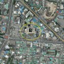 삼라마이다스 이미지