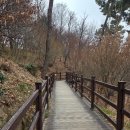 남선공원 | 대전 갈만한곳 남선공원 무장애길 유아숲 소요시간과 주차정보 총정리