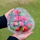 정현농장 이미지