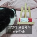 [헬로마이펫 고양이피부 케어] 꼬드름, 링웜에도 좋은 냥냥카솔:노령묘 땅콩이의 겨울 발바닥 보습 후기