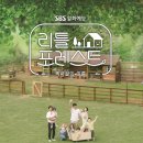 포레스트 이미지