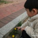민들레하우스 이미지