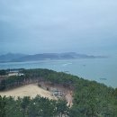 신호솔밭공원 이미지