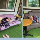 생활체조 이미지