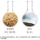 소녀피부