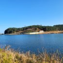 금호강변(세천파크골프장) 이미지