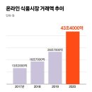 신세계청과 이미지