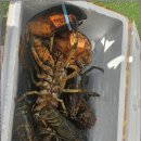 해운대초장 이미지