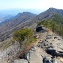 백오동 따라간 청도 미나리 산행(남산~ 화악산~ 철마산) 이미지