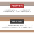 오체안피부과의원과천점 네이버블로그
