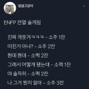 맘편하개 이미지