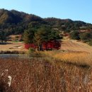 크리스탈사우나 이미지