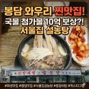 서울집국수 | ​[봉담/와우리 맛집] 국물에 진심인 곳, 10억 보장 '서울집 설농탕' 방문기 🥣