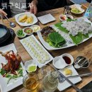 백구회포차