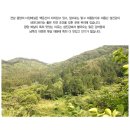 아이엠팜 이미지