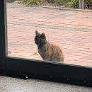 럭키게임랜드 | 돌아오는 기차 안에서