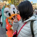 일진약국 | 東京!🎡🎈 (4)