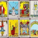 타로와의 치유 여행 이미지