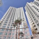 늘푸른공인중개사사무소 이미지