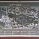 동탄센트럴파크 풋살구장 네이버블로그