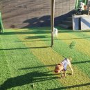 씽크독스쿨 이미지