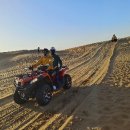 동양바이크 이미지