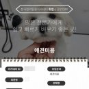 반려견스타일리스트 자격취득과정-기초 | 반려견스타일리스트3급 실기 필기 합격 후기 (+학원 정보)