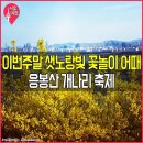 2019년3월31일(일)응봉산개나리축제~서울숲 트래킹(별상우~) 이미지