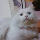 구월2동-23 이미지