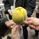 첨단중앙로170번길3 네이버블로그