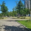 동탄 여울공원 농구장 이미지